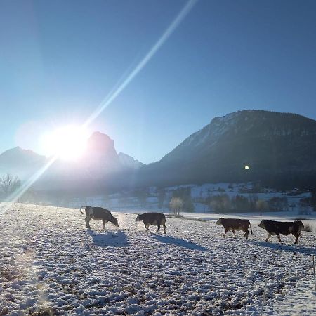 Illighof - Urlaub Am Bauernhof Bed & Breakfast Strobl Exterior photo