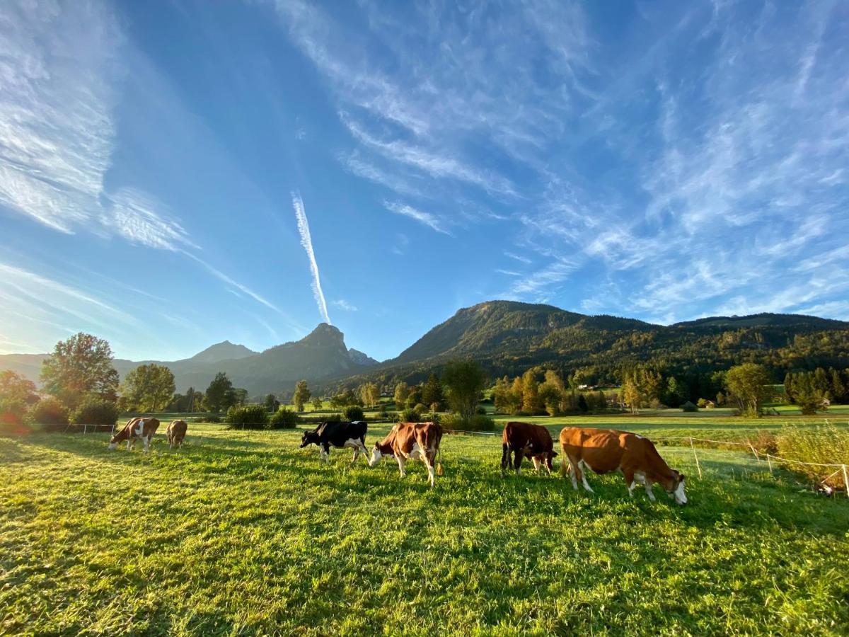 Illighof - Urlaub Am Bauernhof Bed & Breakfast Strobl Exterior photo