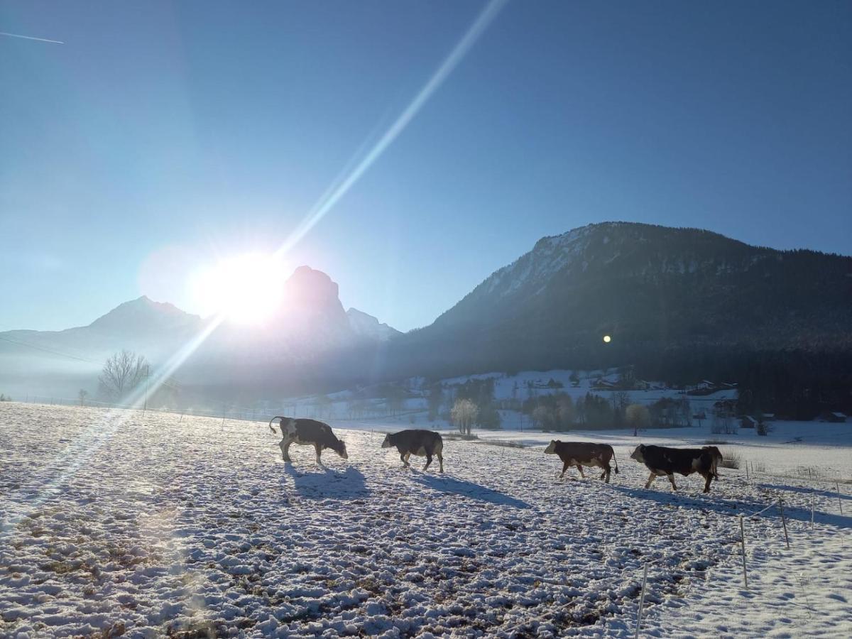 Illighof - Urlaub Am Bauernhof Bed & Breakfast Strobl Exterior photo